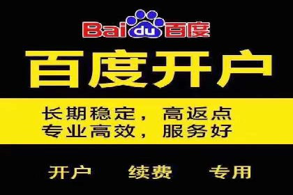 专业SEM代运营公司案例分析